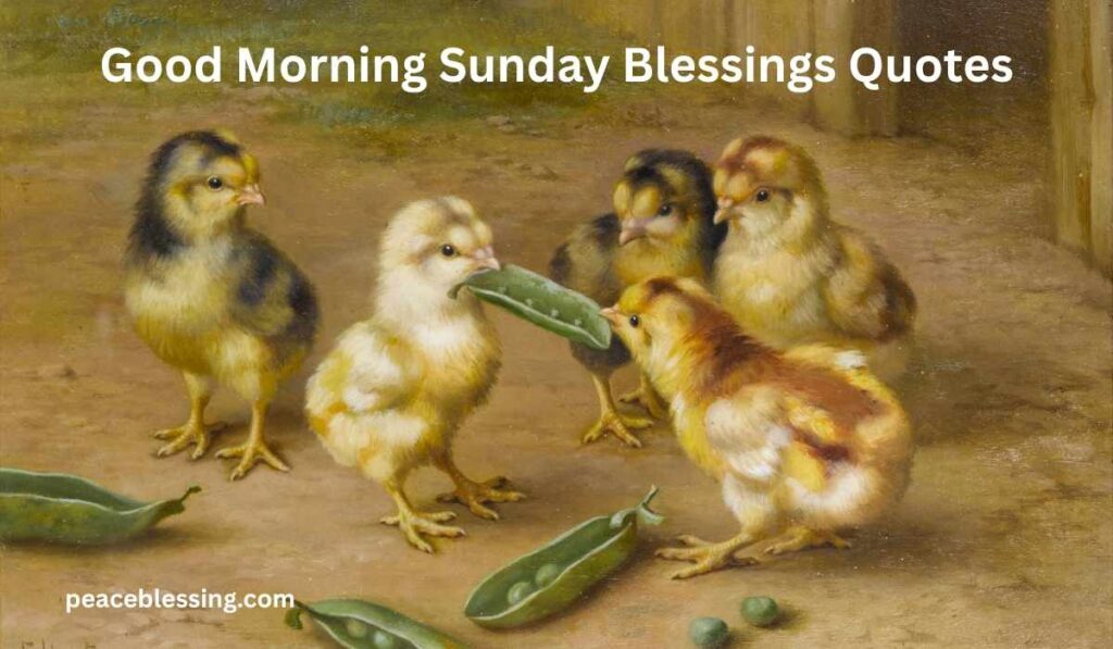 Good Morning Sunday Blessings Quotes