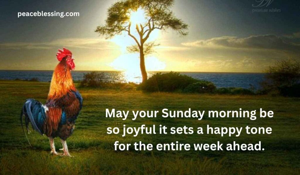 Happy Sunday Morning Blessings