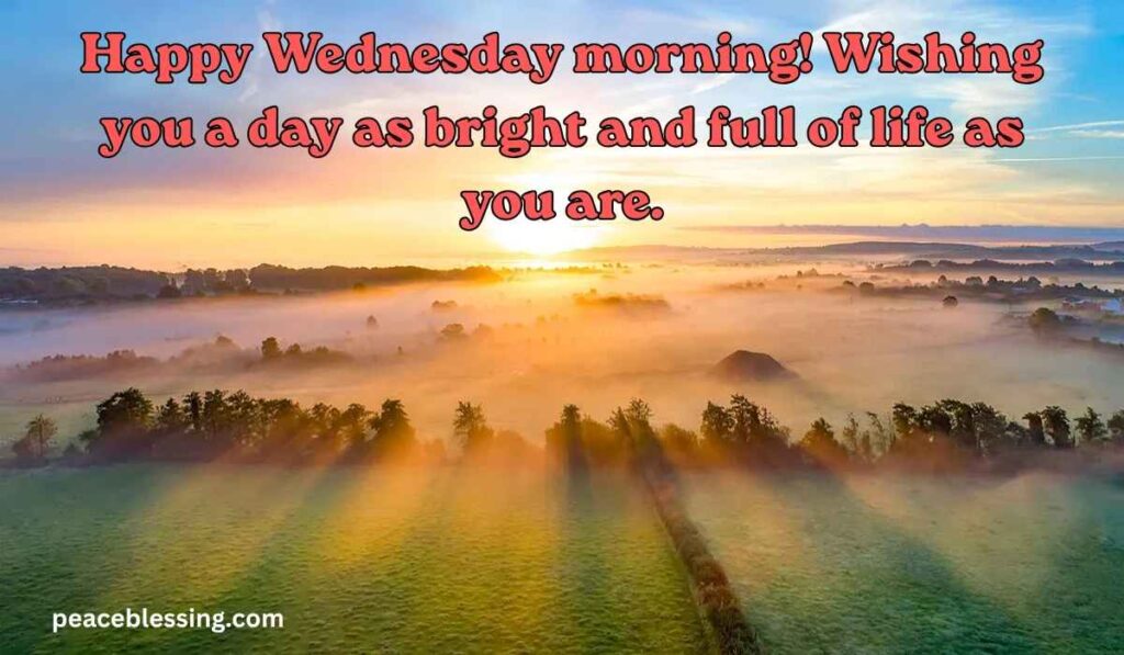 Happy Wednesday Morning