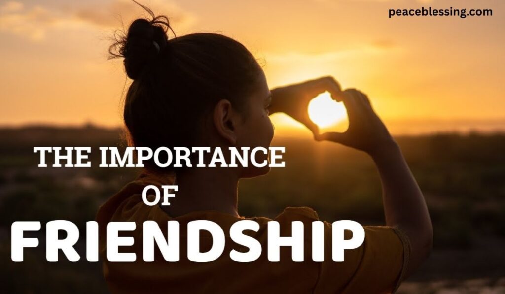 Importance of Friendship Quotes