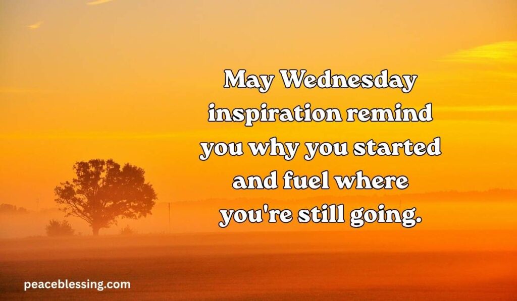 Midweek Motivation and Energy