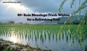 Rain Blessings