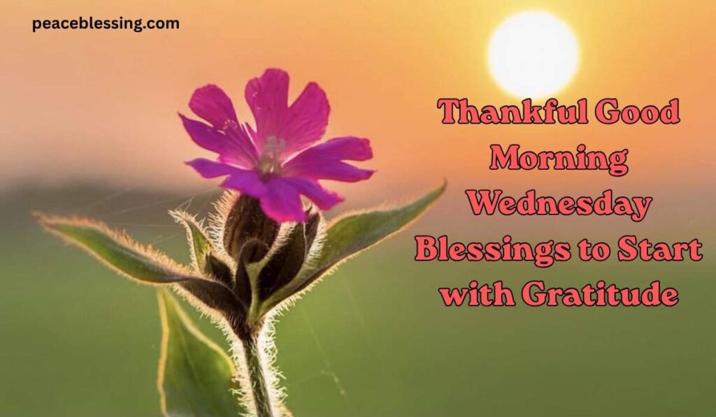Thankful Good Morning Wednesday Blessings
